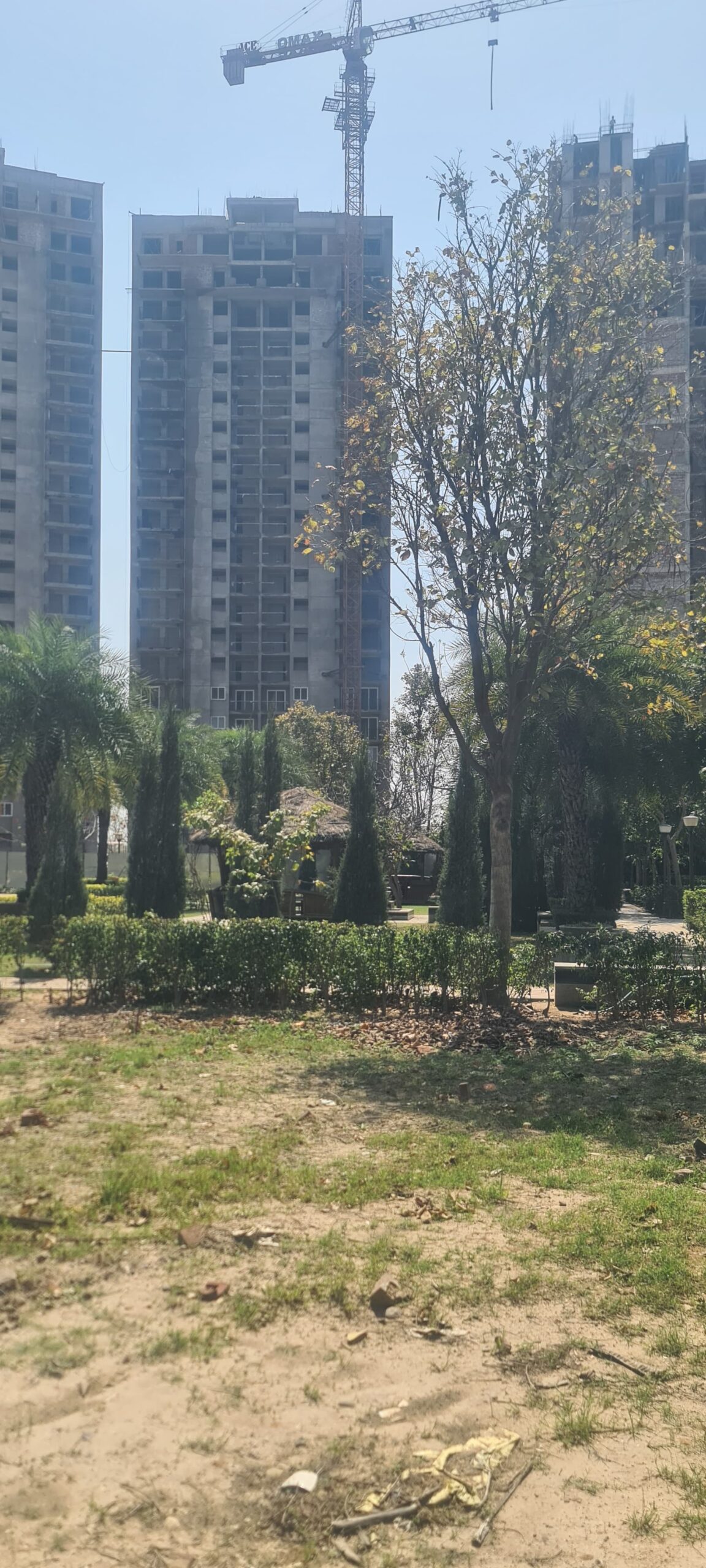 WhatsApp Image 2024-04-12 at 11.02.55 AM