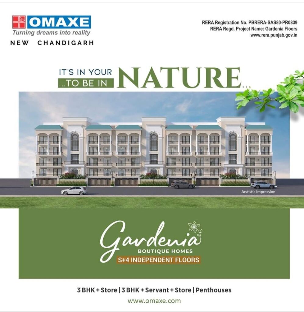 WhatsApp Image 2024-04-27 at 1.20.32 PM