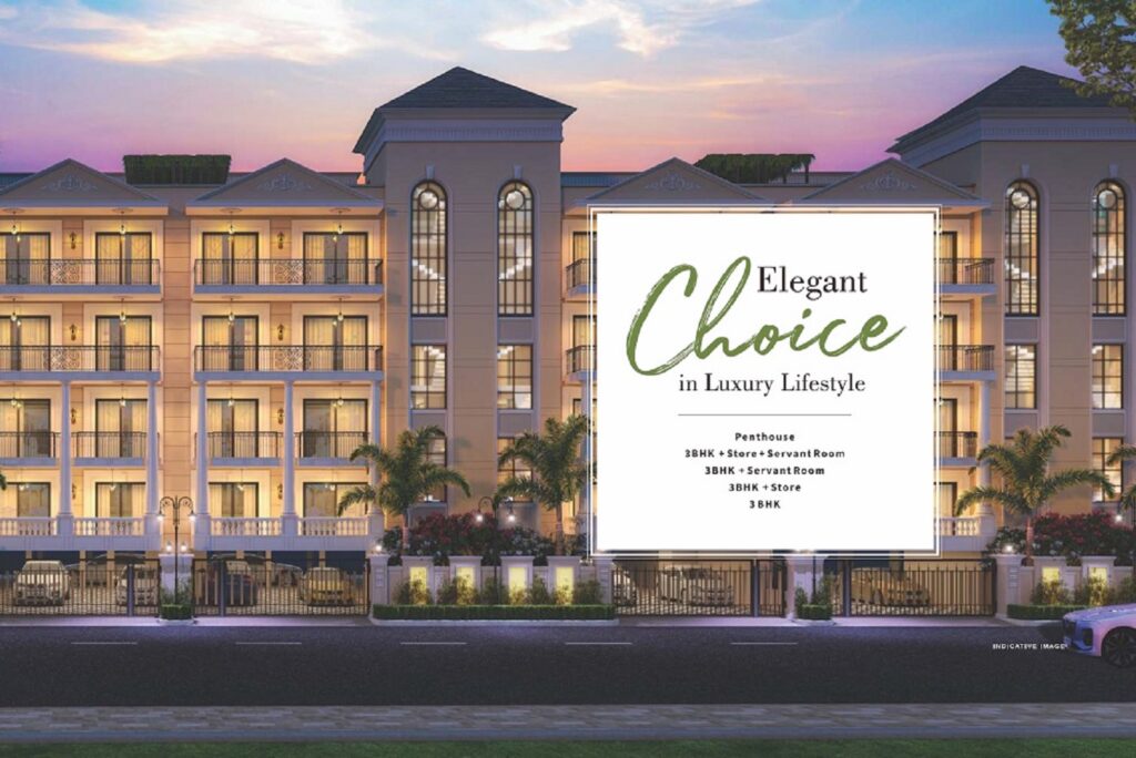 gallery_1678111815512